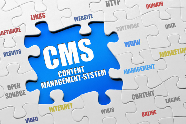 Should I get a Content Management System?